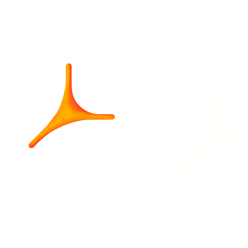 Projectes 9s